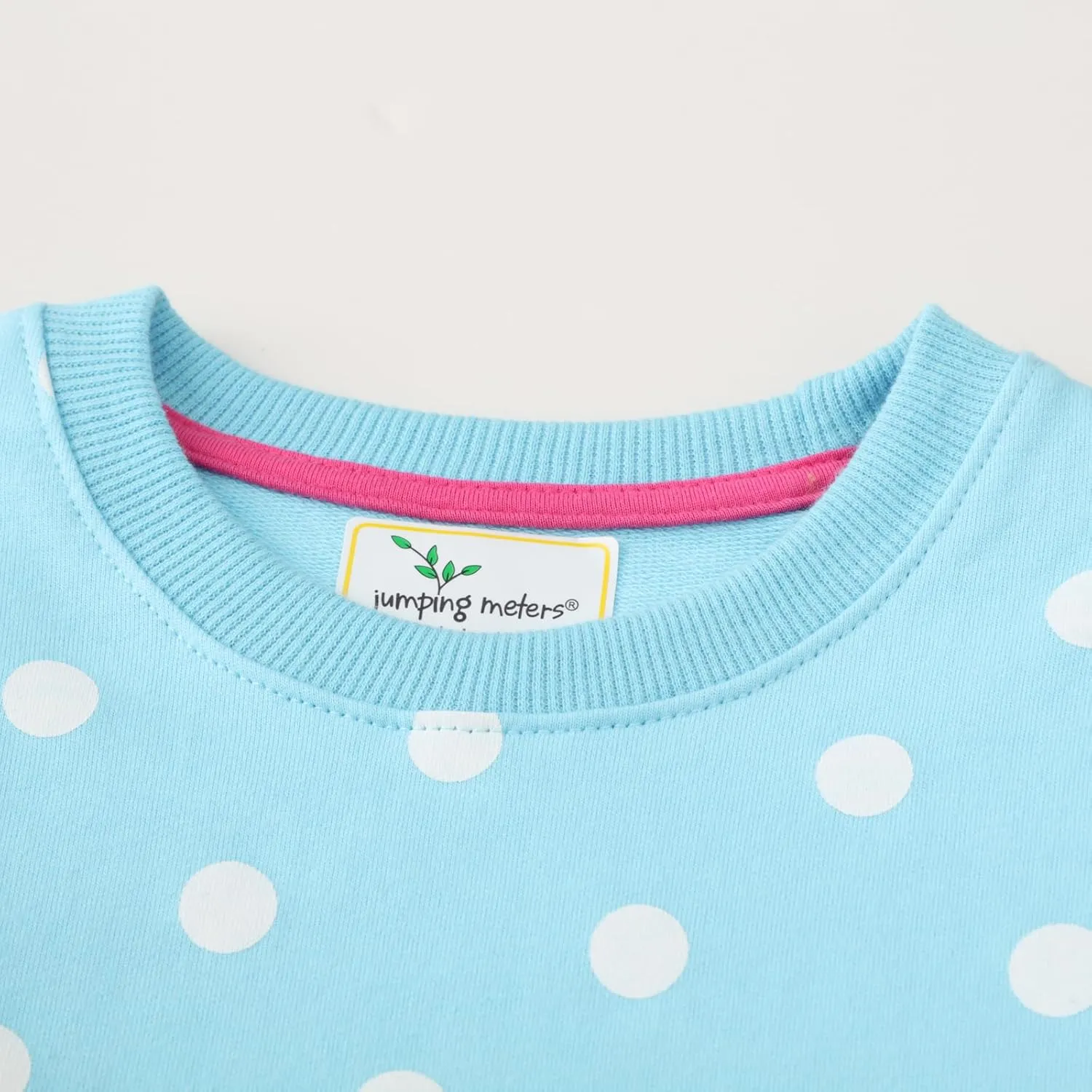 Akyzic Little Girls Sweatshirts Cotton Long Sleeve Crewneck Pullover Toddler Kids Winter Warm Shirt Sweater Tops 2t-8t
